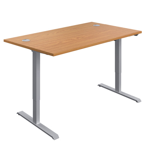 ECONOMY SINGLE MOTOR  SIT STAND DESK 1200 X 800 NOVA OAK-SILVER
